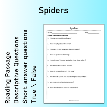 Spiders | Reading Comprehension Passage Printable Worksheet