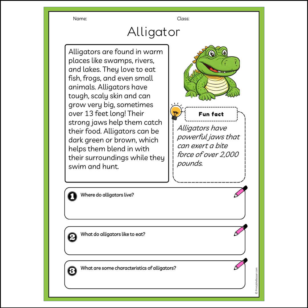 Alligator | Reading Passage Comprehension Questions Writing Facts Worksheet