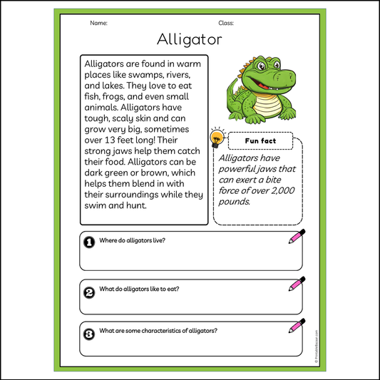 Alligator | Reading Passage Comprehension Questions Writing Facts Worksheet