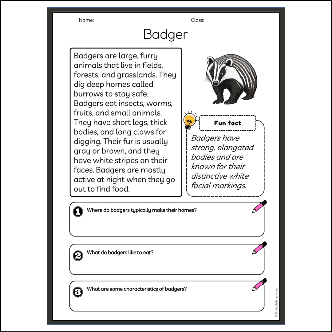 Badger | Reading Passage Comprehension Questions Writing Facts Worksheet