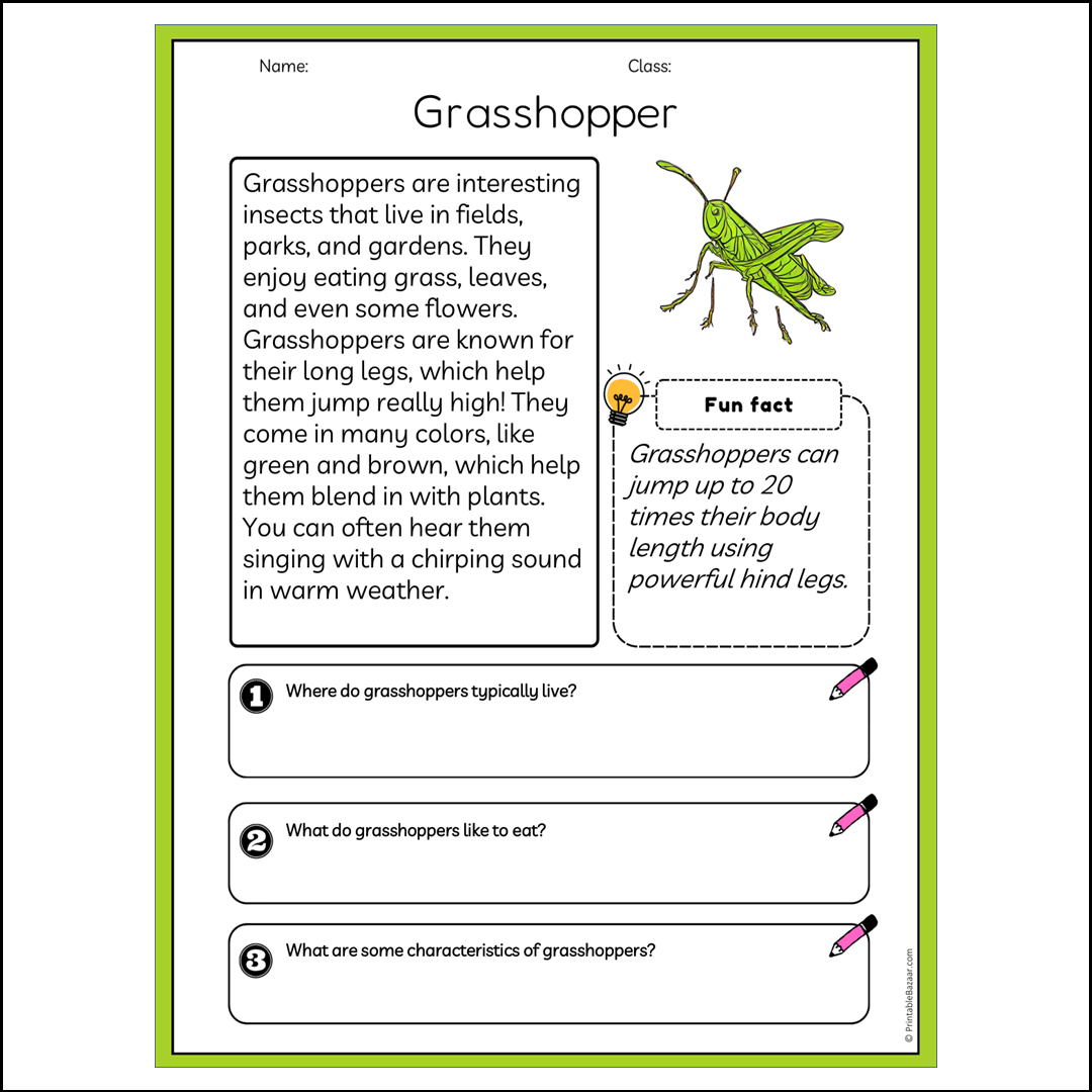 Grasshopper | Reading Passage Comprehension Questions Writing Facts Worksheet