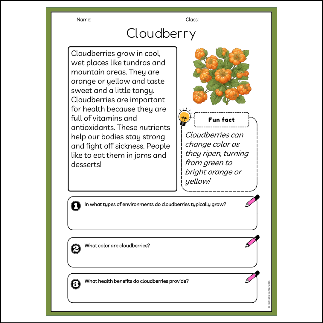 Cloudberry | Reading Passage Comprehension Questions Writing Facts Worksheet