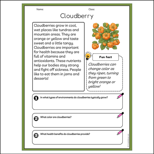 Cloudberry | Reading Passage Comprehension Questions Writing Facts Worksheet