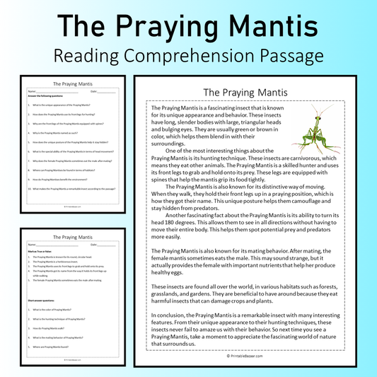 The Praying Mantis | Reading Comprehension Passage Printable Worksheet