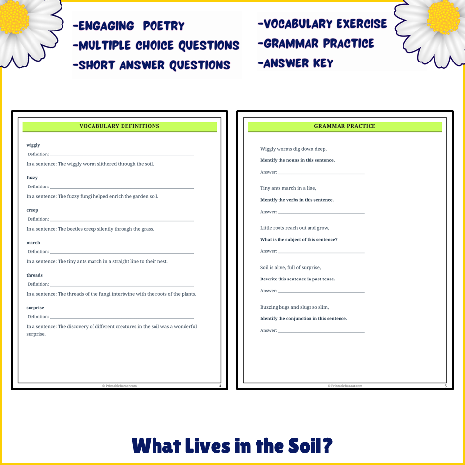 What Lives in the Soil? | Poem Grammar Worksheet Printable Activity