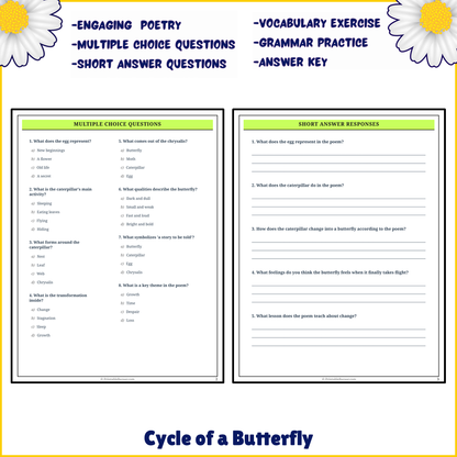 Cycle of a Butterfly | Poem Grammar Worksheet Printable Activity