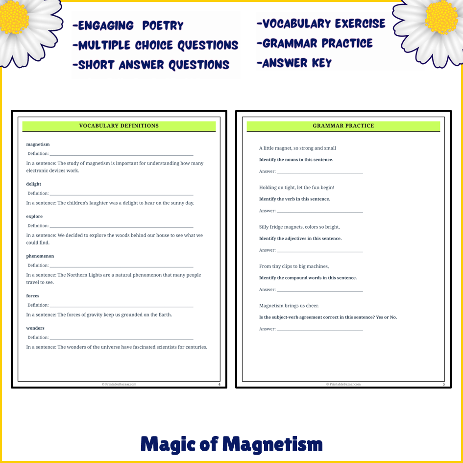 Magic of Magnetism | Poem Grammar Worksheet Printable Activity