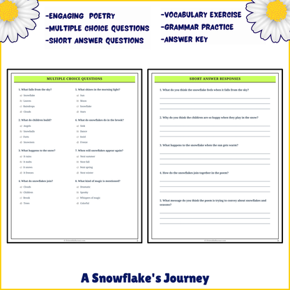 A Snowflake's Journey | Poem Grammar Worksheet Printable Activity