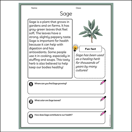 Sage | Reading Passage Comprehension Questions Writing Facts Worksheet