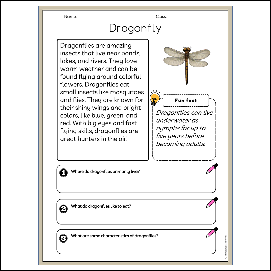 Dragonfly | Reading Passage Comprehension Questions Writing Facts Worksheet