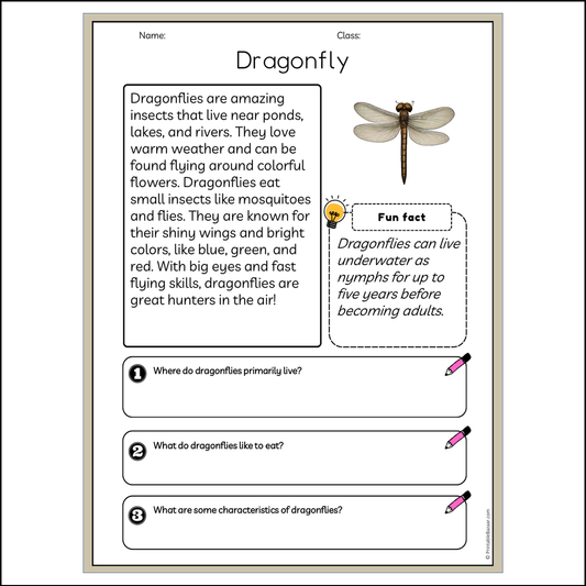 Dragonfly | Reading Passage Comprehension Questions Writing Facts Worksheet