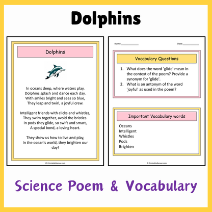 Dolphins | Science Poem Reading Comprehension Activity