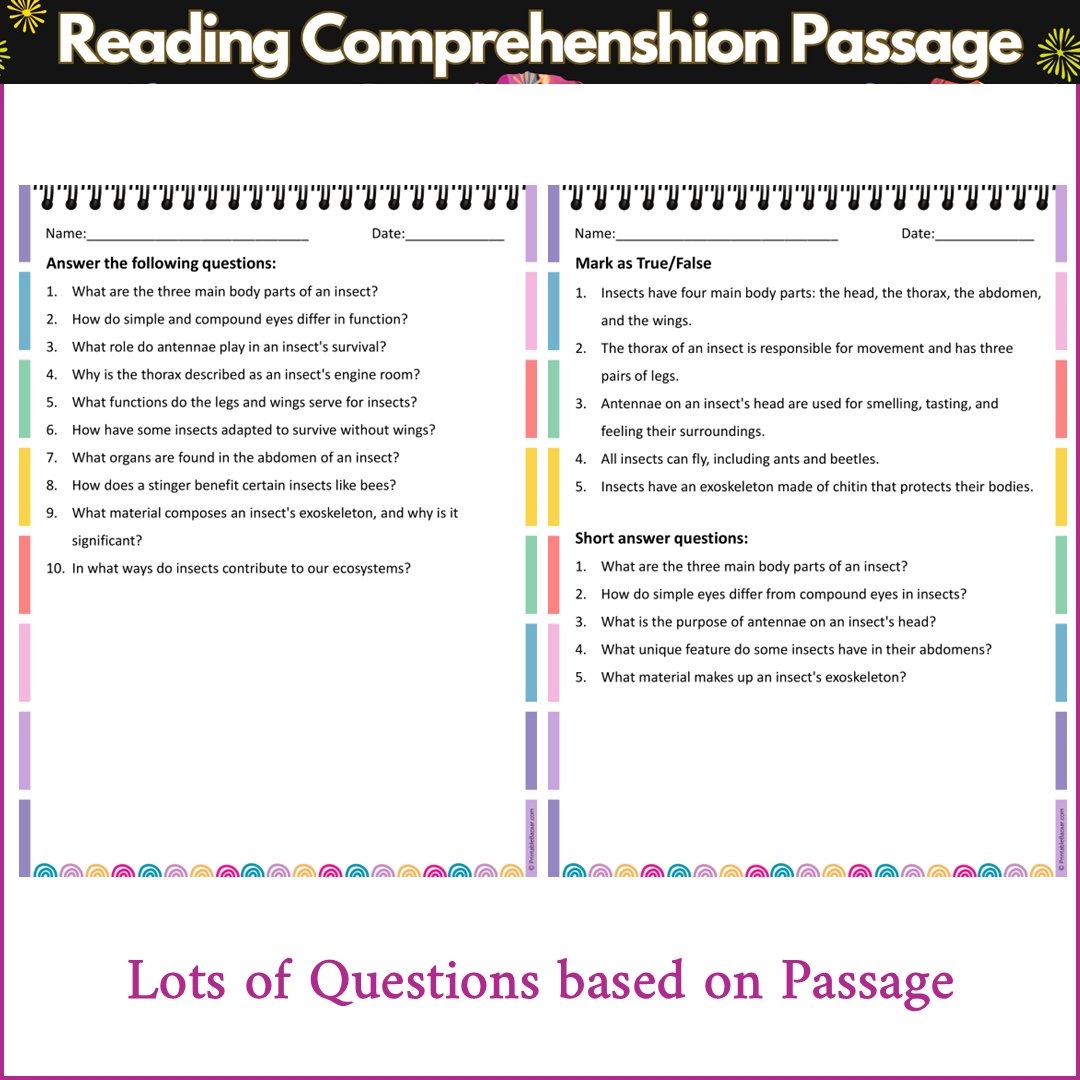 Anatomy of an Insect | Reading Comprehension Passage and Questions