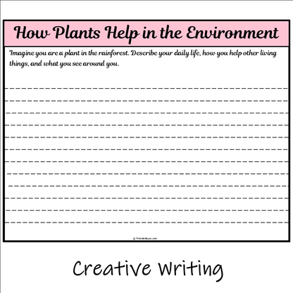 How Plants Help in the Environment | Main Idea and Supporting Details Reading Passage and Questions