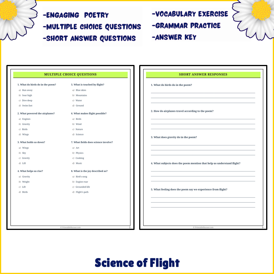 Science of Flight | Poem Grammar Worksheet Printable Activity