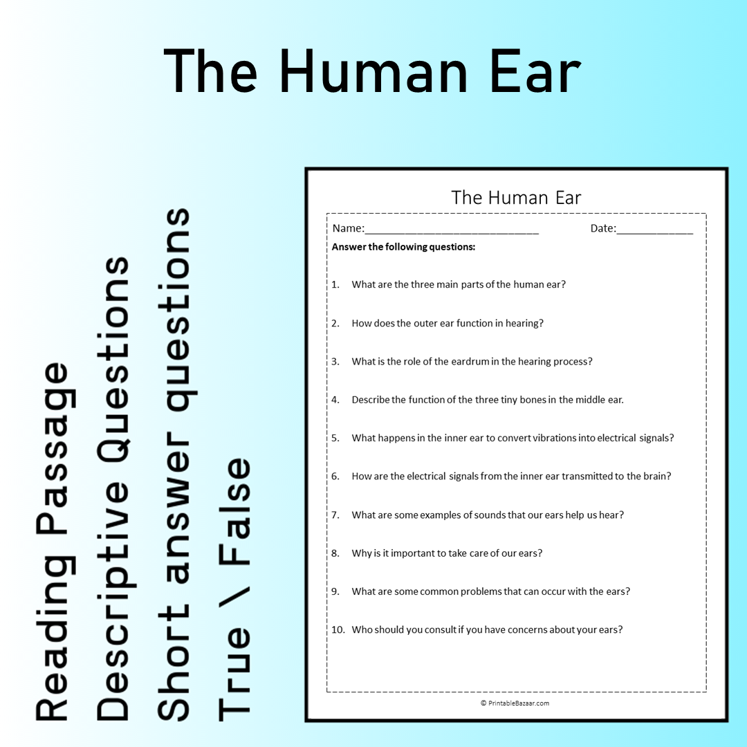 The Human Ear | Reading Comprehension Passage Printable Worksheet