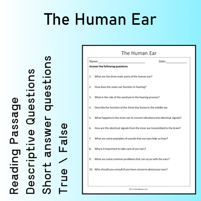 The Human Ear | Reading Comprehension Passage Printable Worksheet