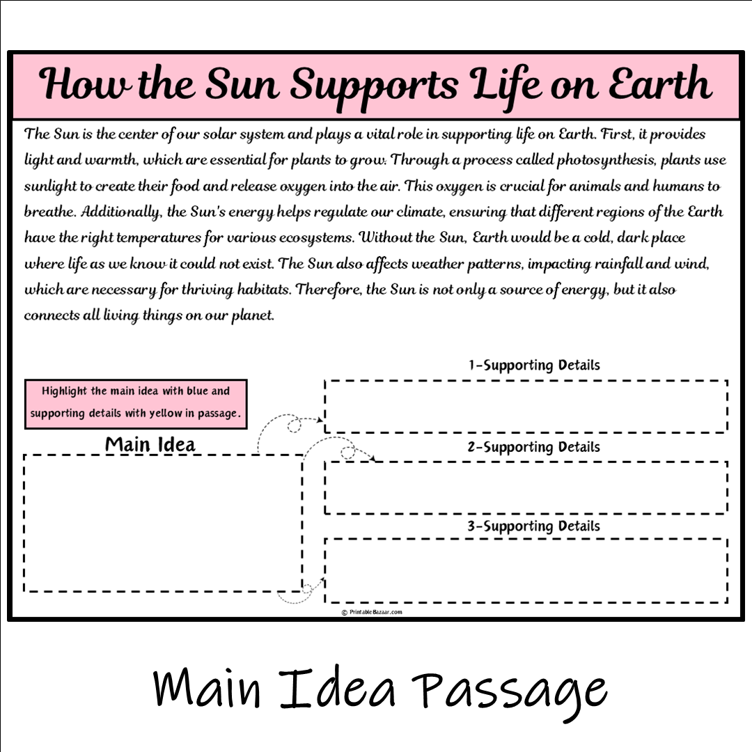 How the Sun Supports Life on Earth | Main Idea and Supporting Details Reading Passage and Questions