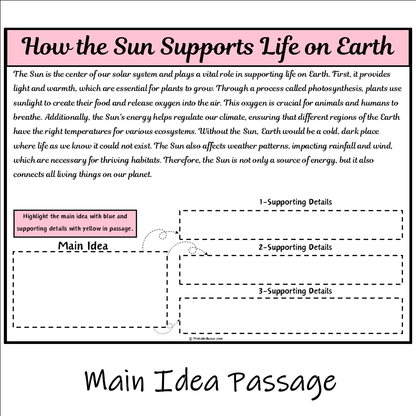 How the Sun Supports Life on Earth | Main Idea and Supporting Details Reading Passage and Questions