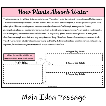 How Plants Absorb Water | Main Idea and Supporting Details Reading Passage and Questions