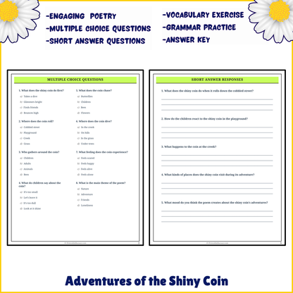 Adventures of the Shiny Coin | Poem Grammar Worksheet Printable Activity