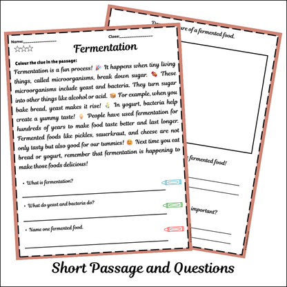 Fermentation | Short Reading Comprehension Creative Worksheet
