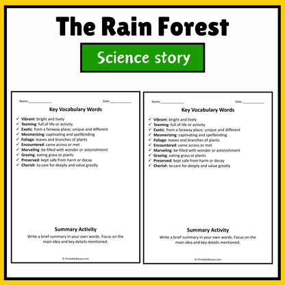 The Rain Forest | Science Story Reading Comprehension Activity