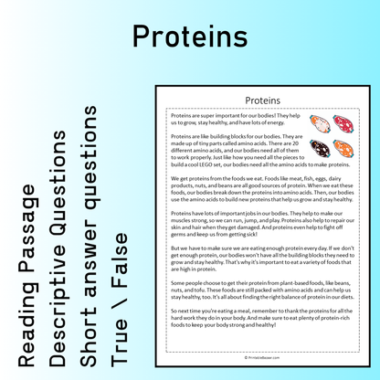 Proteins | Reading Comprehension Passage Printable Worksheet