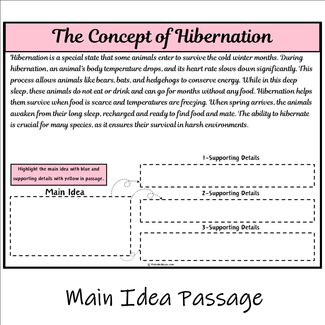 The Concept of Hibernation | Main Idea and Supporting Details Reading Passage and Questions