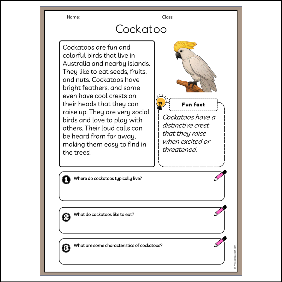 Cockatoo | Reading Passage Comprehension Questions Writing Facts Worksheet