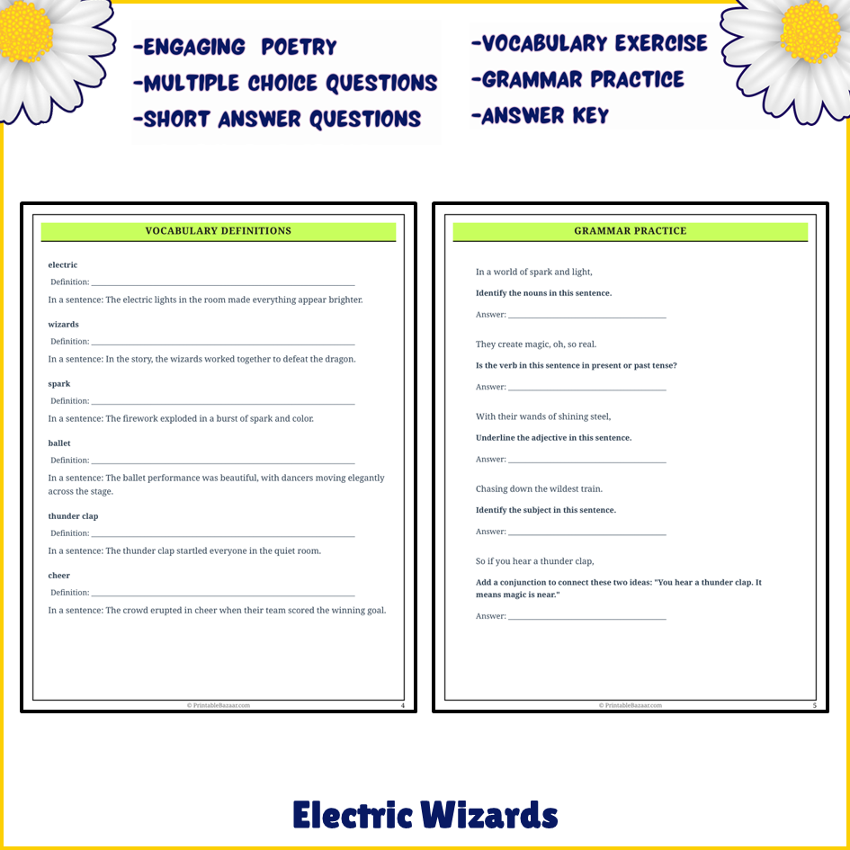 Electric Wizards | Poem Grammar Worksheet Printable Activity