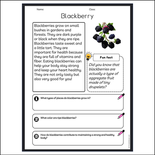 Blackberry | Reading Passage Comprehension Questions Writing Facts Worksheet