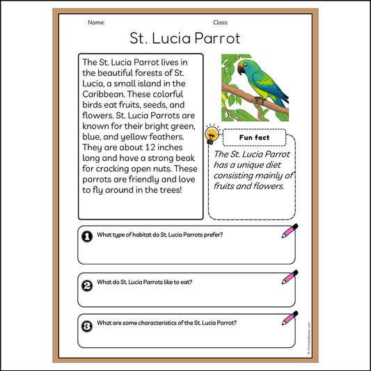 St. Lucia Parrot | Reading Passage Comprehension Questions Writing Facts Worksheet