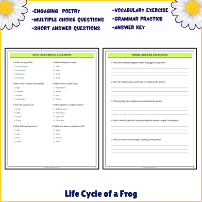 Life Cycle of a Frog | Poem Grammar Worksheet Printable Activity