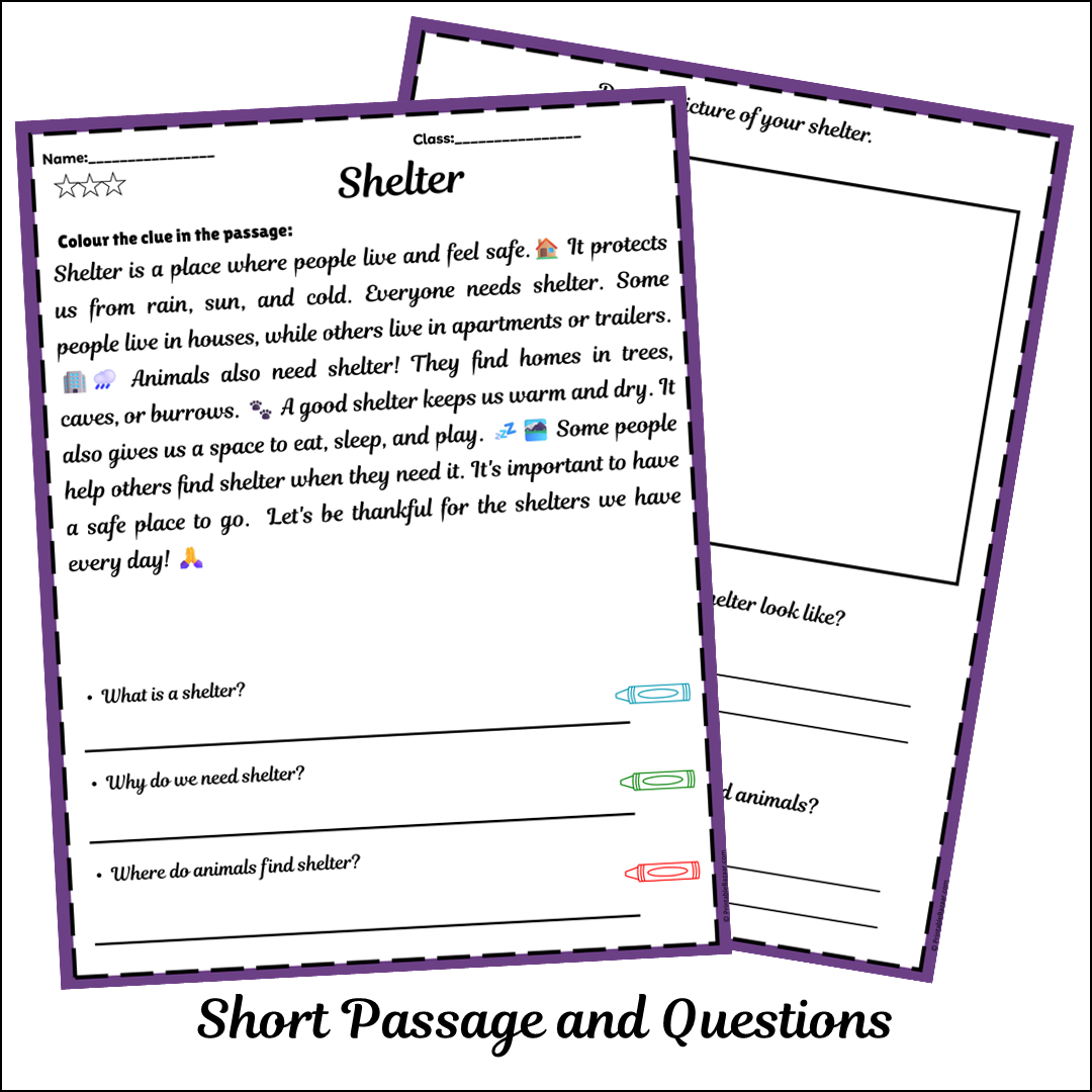 Shelter | Short Reading Comprehension Creative Worksheet