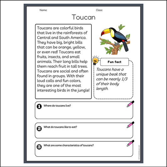 Toucan | Reading Passage Comprehension Questions Writing Facts Worksheet