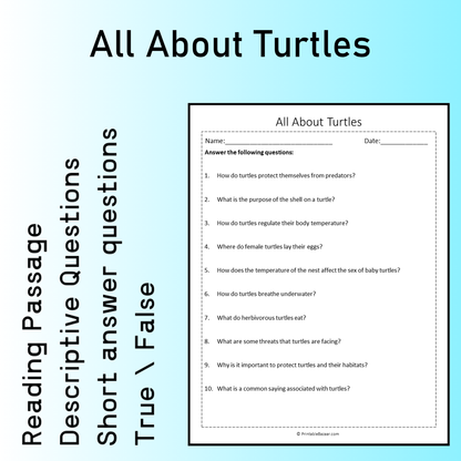 All About Turtles | Reading Comprehension Passage Printable Worksheet