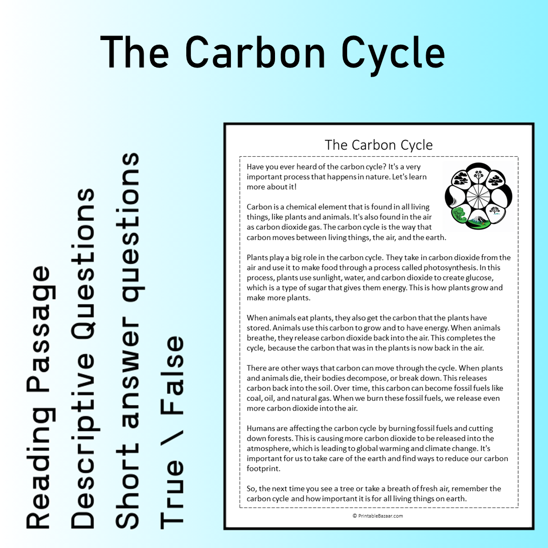 The Carbon Cycle | Reading Comprehension Passage Printable Worksheet