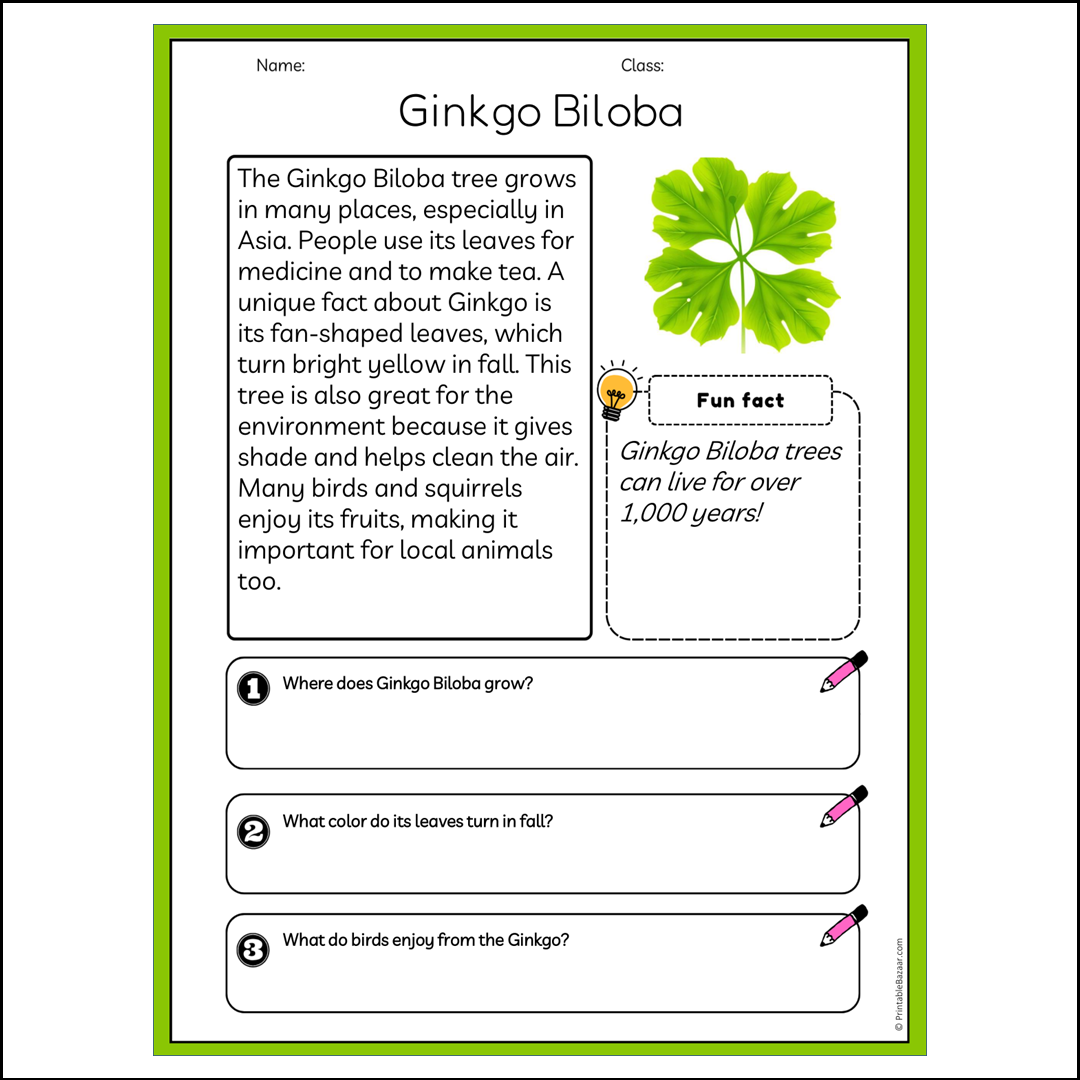 Ginkgo Biloba | Reading Passage Comprehension Questions Writing Facts Worksheet