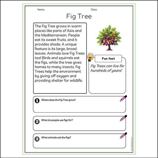 Fig Tree | Reading Passage Comprehension Questions Writing Facts Worksheet