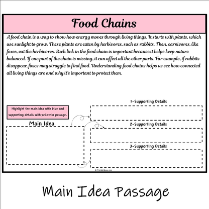 Food Chains | Main Idea and Supporting Details Reading Passage and Questions