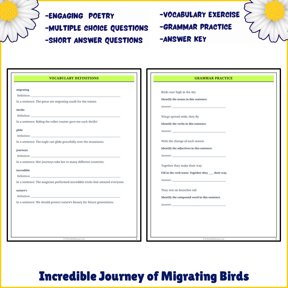 Incredible Journey of Migrating Birds | Poem Grammar Worksheet Printable Activity