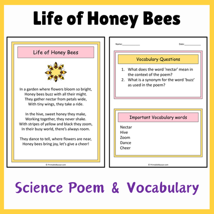 Life of Honey Bees | Science Poem Reading Comprehension Activity