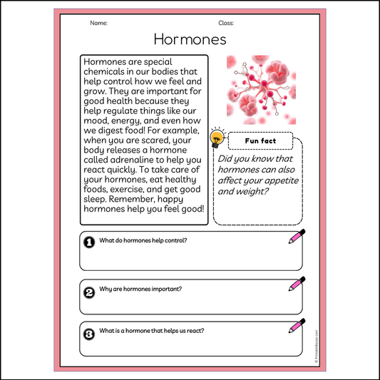 Hormones | Reading Passage Comprehension Questions Writing Facts Worksheet