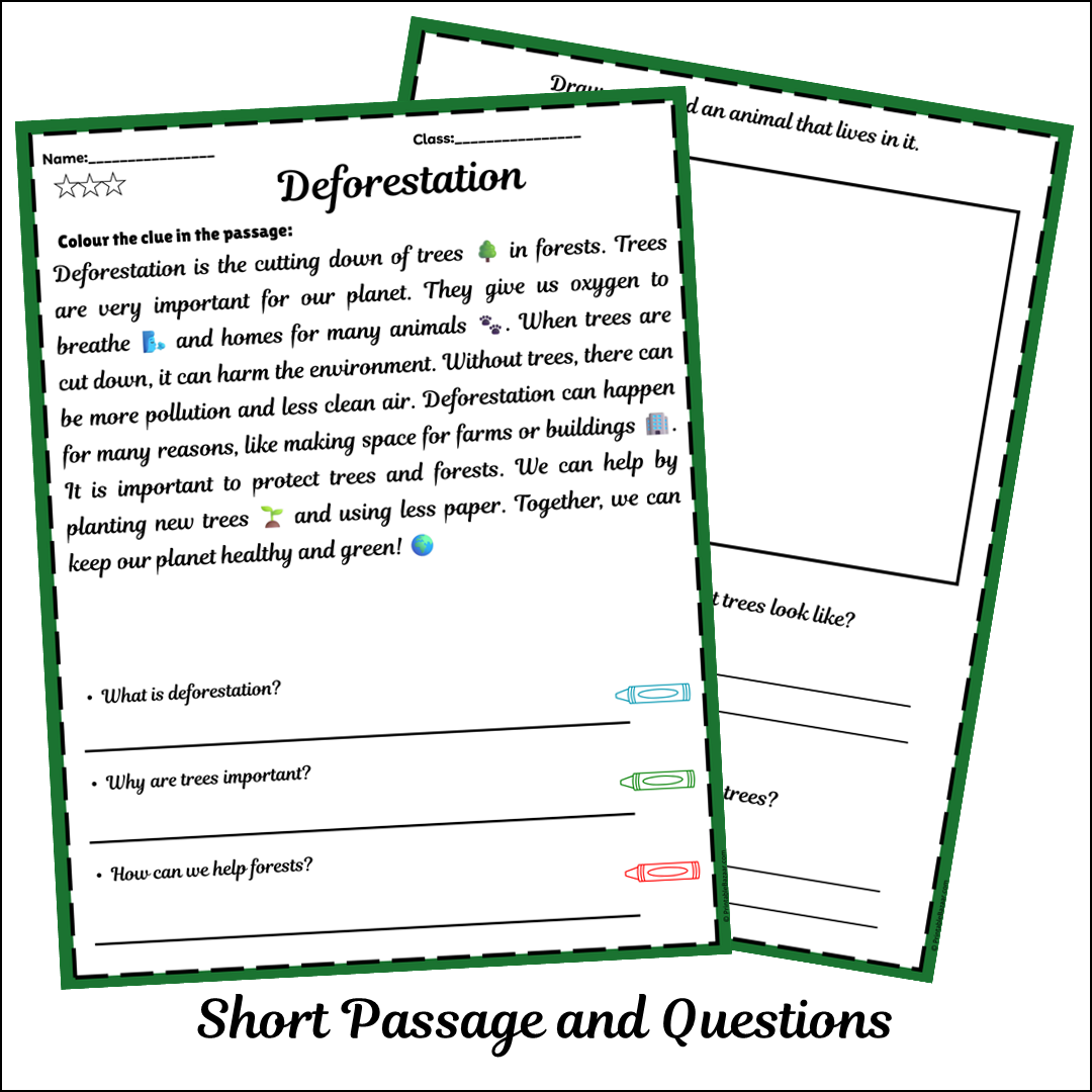 Deforestation | Short Reading Comprehension Creative Worksheet