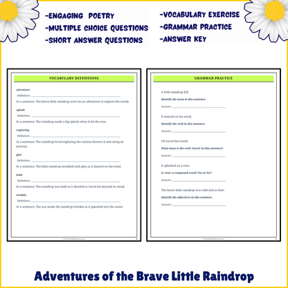 Adventures of the Brave Little Raindrop | Poem Grammar Worksheet Printable Activity