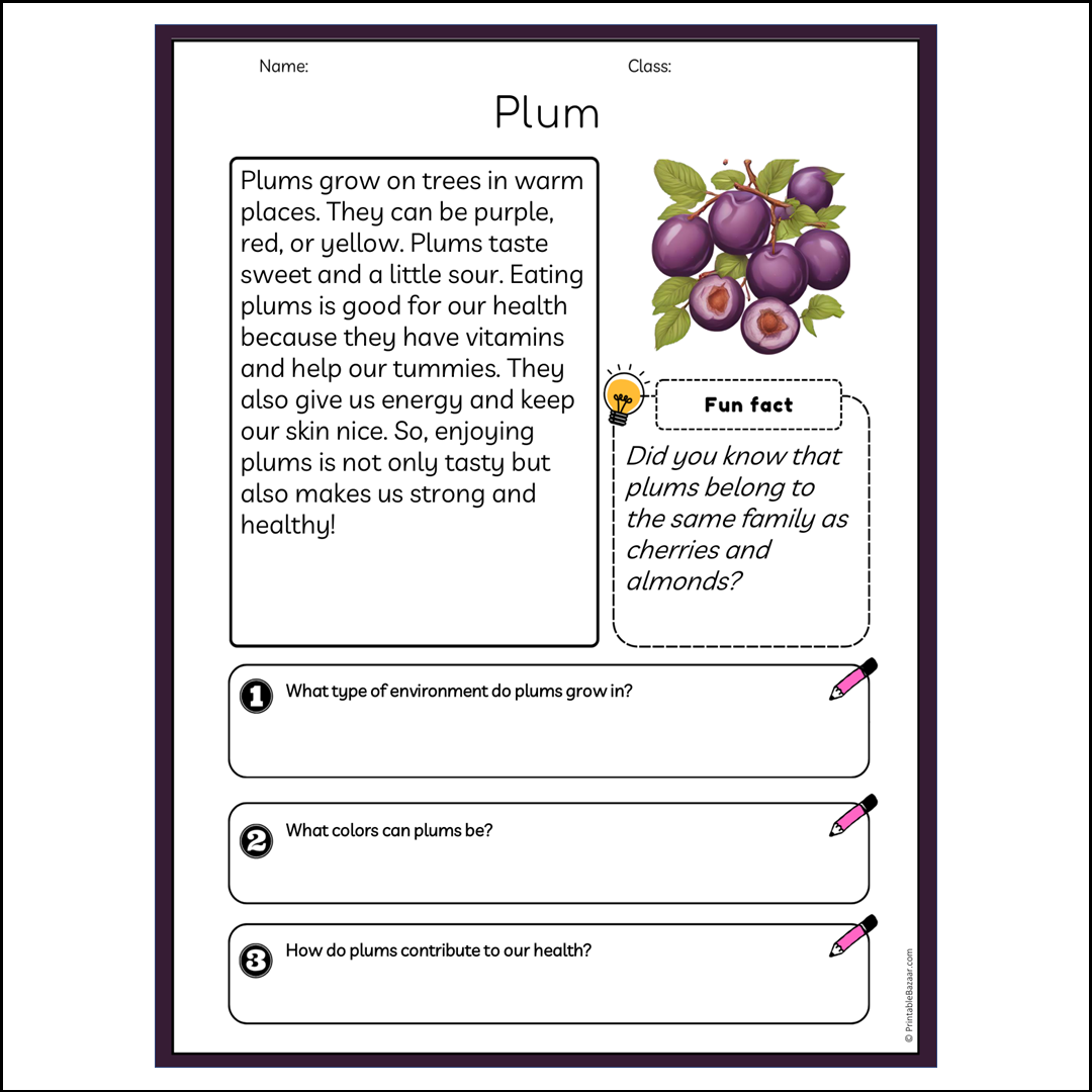 Plum | Reading Passage Comprehension Questions Writing Facts Worksheet