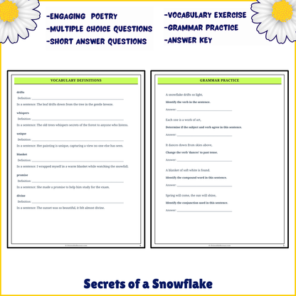 Secrets of a Snowflake | Poem Grammar Worksheet Printable Activity