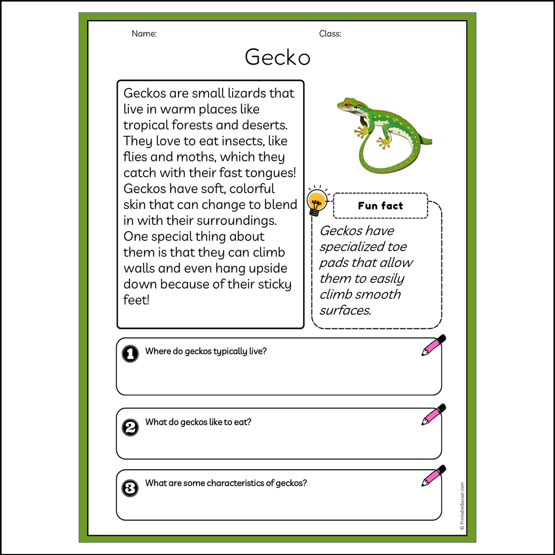 Gecko | Reading Passage Comprehension Questions Writing Facts Worksheet