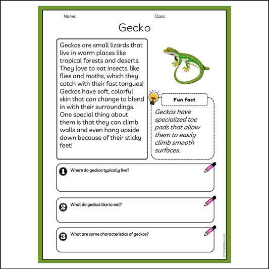 Gecko | Reading Passage Comprehension Questions Writing Facts Worksheet